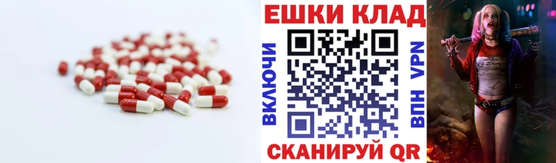 blacksprut ссылки  Яхрома  Ecstasy Philipp Plein  где купить наркоту 