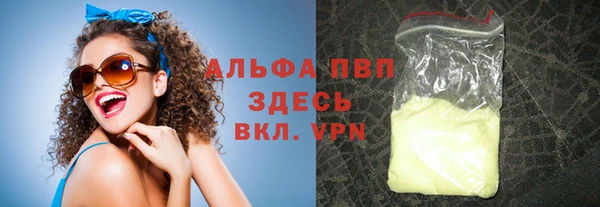 стаф Горняк