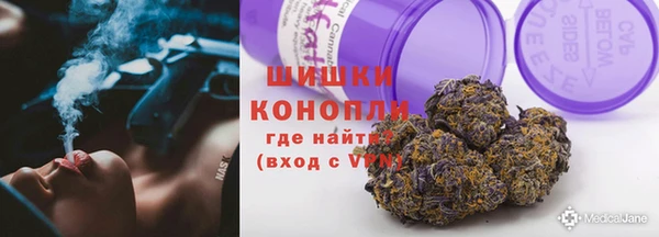 ПСИЛОЦИБИНОВЫЕ ГРИБЫ Вязники