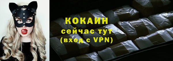 стаф Горняк