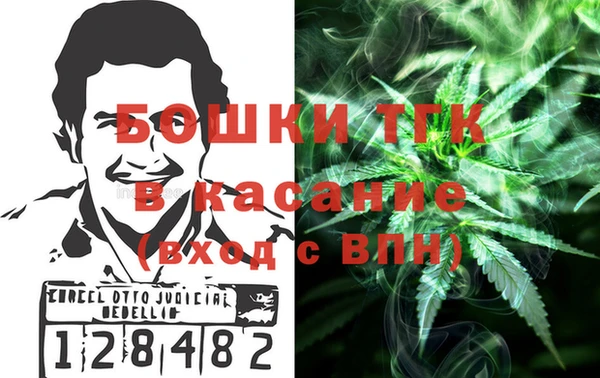 ПСИЛОЦИБИНОВЫЕ ГРИБЫ Вязники