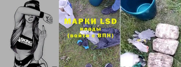ПСИЛОЦИБИНОВЫЕ ГРИБЫ Вязники