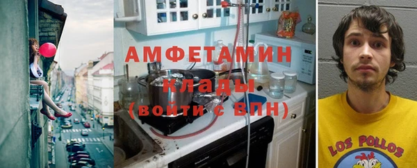 ПСИЛОЦИБИНОВЫЕ ГРИБЫ Вязники