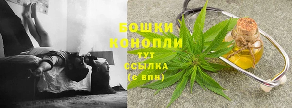 ПСИЛОЦИБИНОВЫЕ ГРИБЫ Вязники