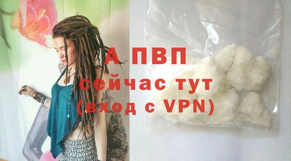 ПСИЛОЦИБИНОВЫЕ ГРИБЫ Вязники